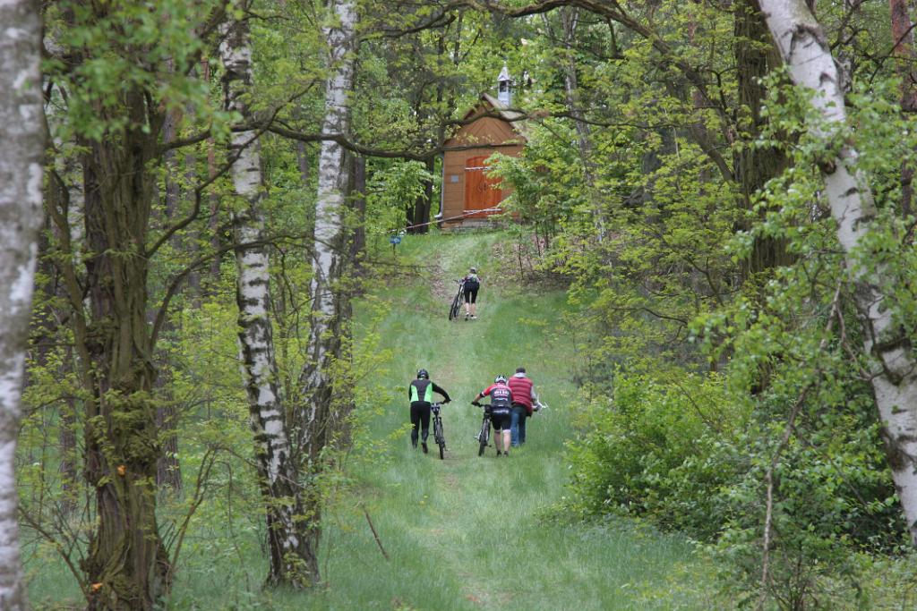 Maraton MTB Odrzywół już za nami / fot. Ireneusz Stasik